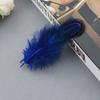 Natural Feather Diy Feather Dachang Feather Pheasant Hair Headdress Accessories Clothing Accessories 5-8Cm Colored Feather