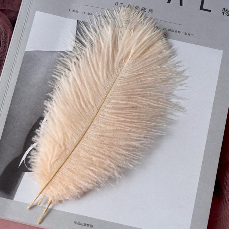 22-Color Ostrich Fur Big Feathers Wedding Background Wall Decorative Wall White Pink Feather Flower Arrangement 20-25Cm