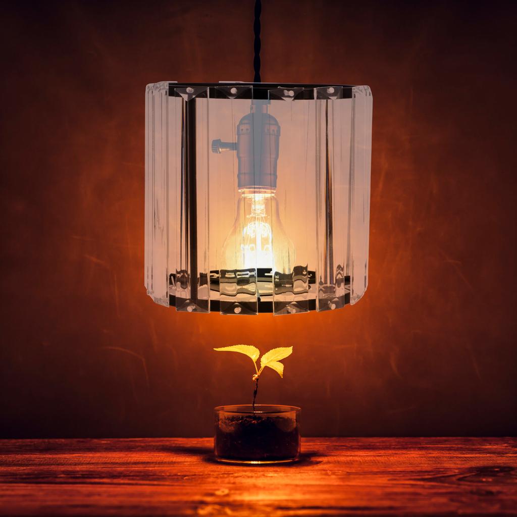 Small Glass Pendant Light Shade Durable Iron Material Modern Household Lamp Shade Indoor Ceiling Lamp Cover Protection