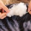 Bedding Simulation Cat Sleep Napping Neck Protection Cushion Pillow Home Textile Throw Pillow