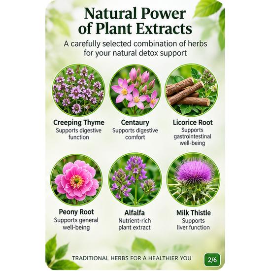 Yvonika Toxolomin – Natural Detox & Body Cleansing Support, 60 Capsules