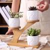 Durable Planter Tray Anti Deformed Bamboo Plants Pot Holder Stand for Succulent
