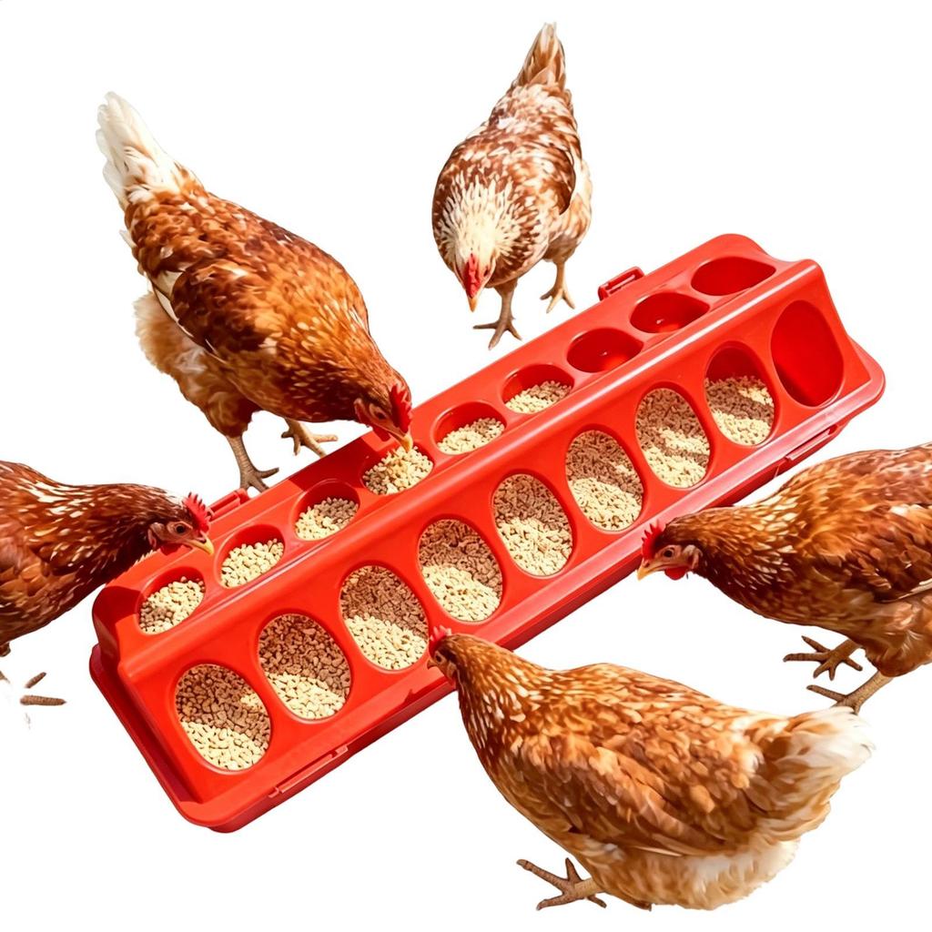 Poultry Feeder Trough Anti-waste Chicken Birds Waterer Feeding Bucket Chicken Water And Food Dispenser Bowl