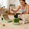 Hydroponic Indoor Cat Grass Tray Cute Elephant Shape Cat Grass Planting Tray Soil-Less Watering Hollow Out Container For Indoor