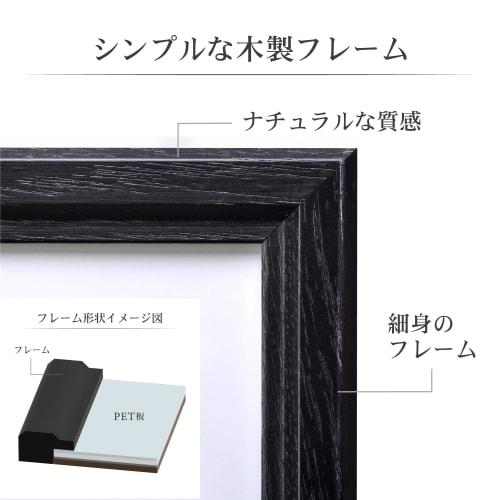 Hakuba [.co.jp Exclusive] HAKUBA Pixria Wooden Picture Frame, A3 Size, Black, Poster/Photo Frame, PET Front Panel with Hanging Cord (FWPX-BKA3)