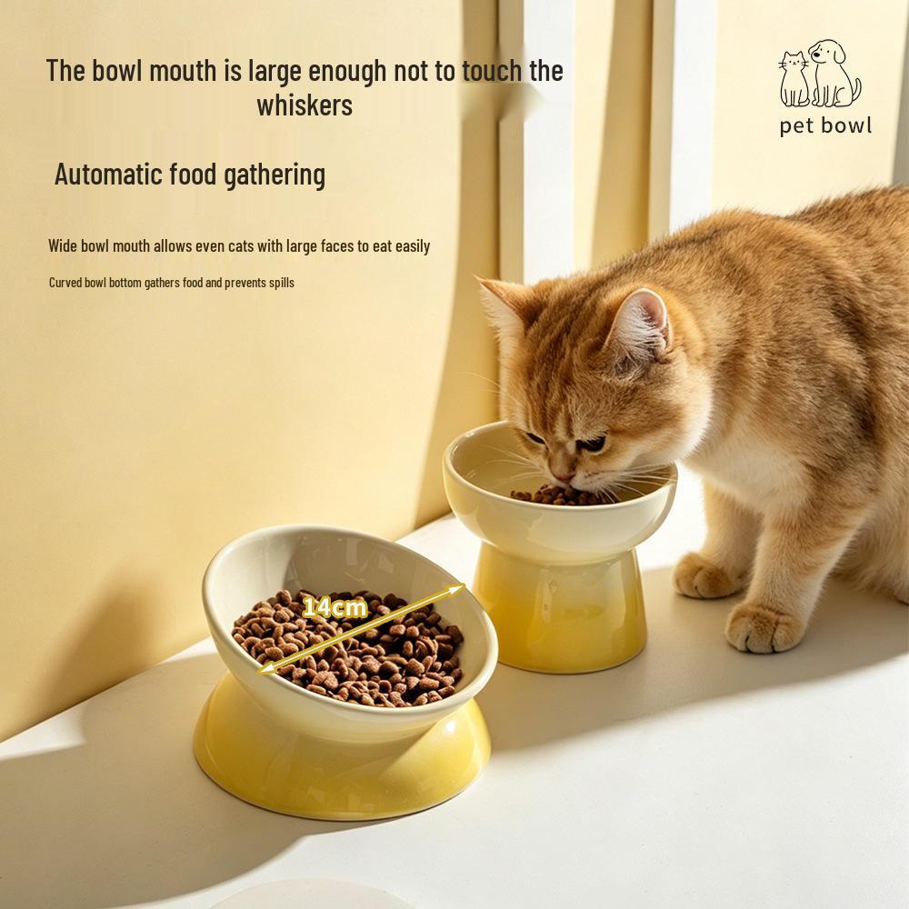 Ceramic Gradient Pet Bowl for Cats and Dogs - Feeder, Food, and Water Bowl