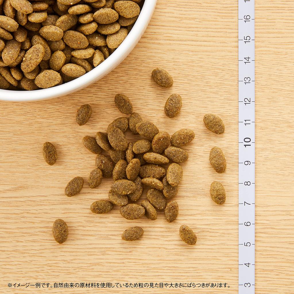 Nutro Natural Choice Cat Adult Salmon 2kg Cat Food added fragrances or synthetic nutritional of fecal Grain-Free [No colorants/No