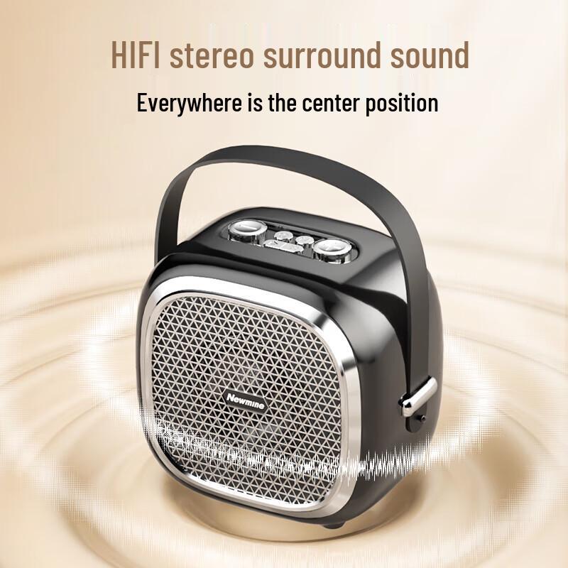Newmine K83 Wireless Portable Voice Amplifier