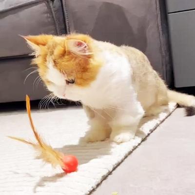 Funny Cat Elastic Ball Toy Interactive Balls Pet Supplies Feather Football Toys Dog Playthings Kitten