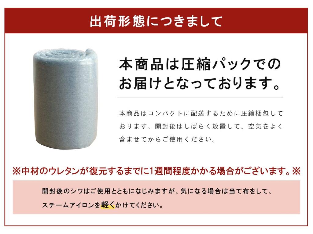 IKEHIKO SARARI Rug, Square, Approximately 2 Tatami Mats, Blue, Approx. 185 X 185cm, Simple, Volume, All-Season, Soundproof, Pile, #4978429