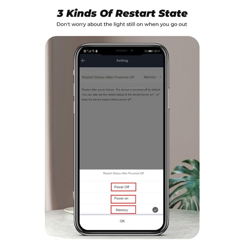 10A/16A Wifi Intelligent Break Device Wifi for Smart Switch with Voice and App Control for Alexa Google-home for Smart S