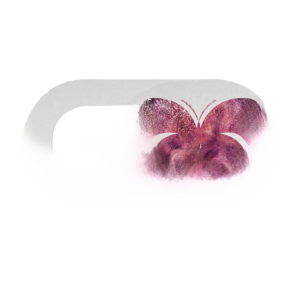 Japanese Anti-Peeping Camera Lens Cover for Phones & Tablets