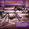 200CM Giant Spider Halloween Decorations Fake Scary Spider for Indoor Outdoor Home Wall Yard Parties Halloween Decoration Props