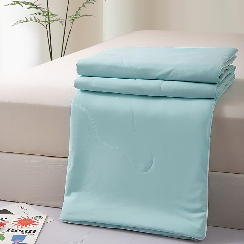 Nanfang Bedding Silk Charm Mulberry Silk Summer Quilt