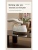 Portable Handheld Garment Steamer and Travel Iron