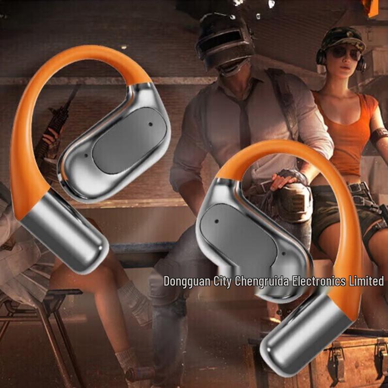 ERXUNGAI Translation Bluetooth Earphones