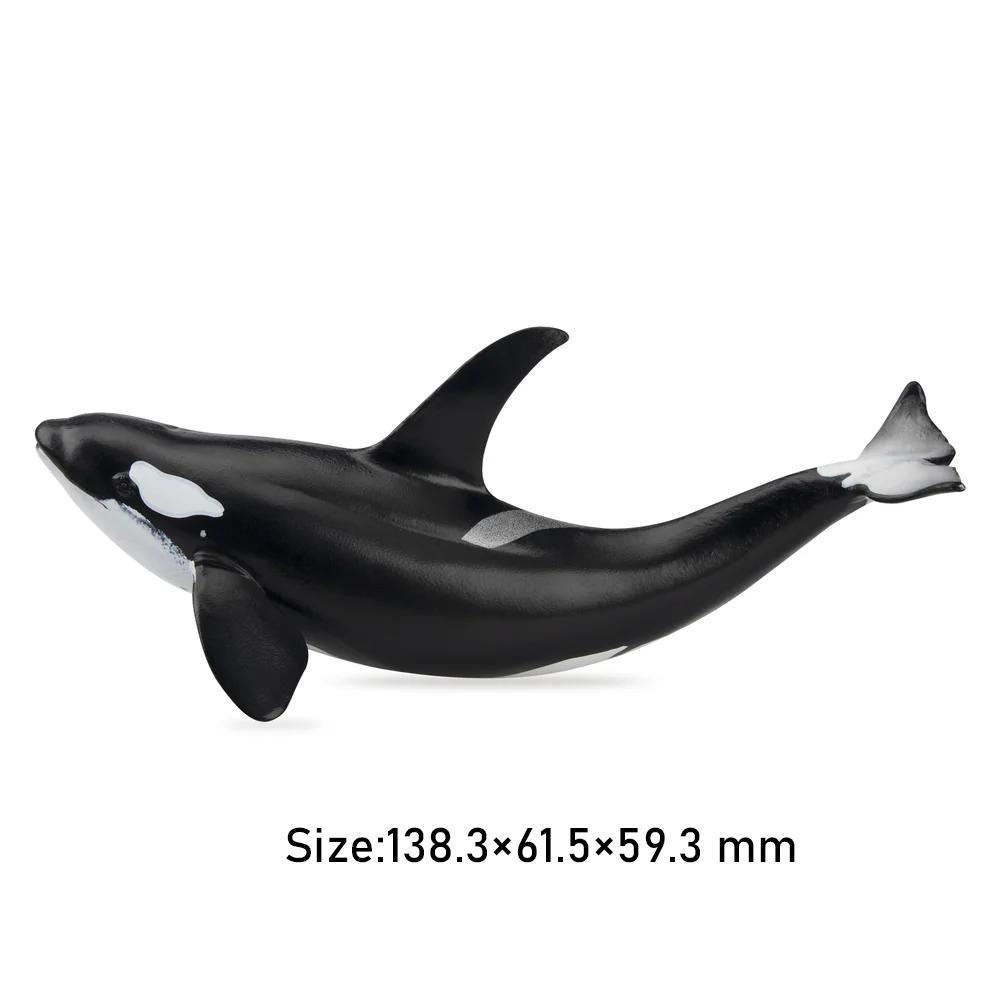 Toymany Имитация Тюленя Полярное Животное Модель Игрушки Мини Фигурки Куклы Фигурки Действия Игрушки для Детей Подарок Украшение для Торта
