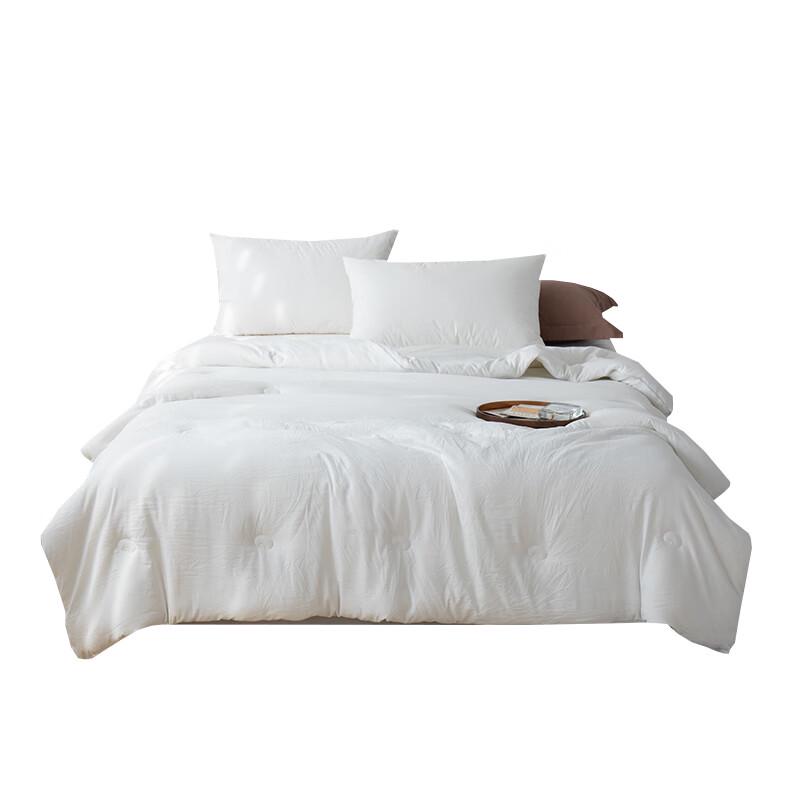 

Southlife Cloud Soft Protein Washable Quilt