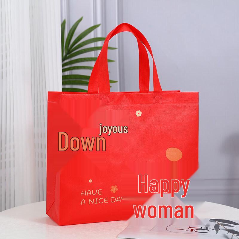 Red Festive Gift Bag