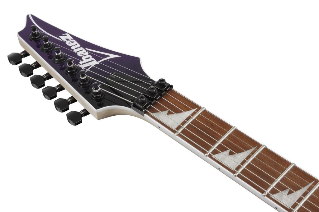 Ibanez Ibanez Electric Guitar / RG470DX-TMN (Tokyo Midnight) [SPOT MODEL]