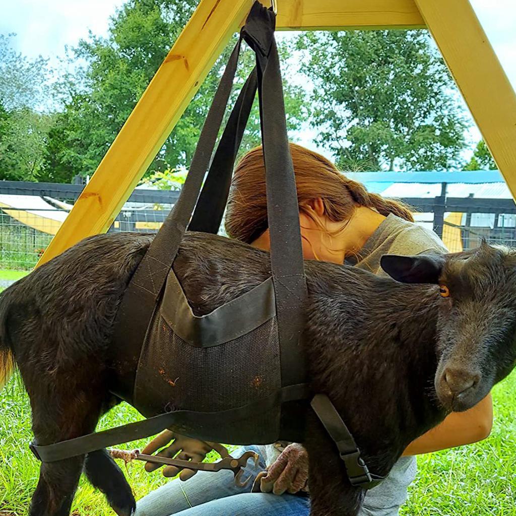 Kälber-Schlinge zum Wiegen von Tieren Hilfsschlinge Hängewaage mit verstellbaren Gurten Wiederverwendbar für Kälber Lämmer Ziegen Alpakas Hunde Schweine
