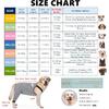 Dog Recovery Suit for Hid Leg, Soft Stretchy Pants for Hip Thigh Wound Protective Sleeves to Prevent Licking (Grey, XL(Reference Weight 13-22 lbs))
