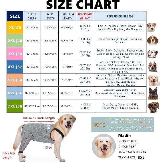 Dog Recovery Suit for Hid Leg, Soft Stretchy Pants for Hip Thigh Wound Protective Sleeves to Prevent Licking (Grey, XL(Reference Weight 13-22 lbs))