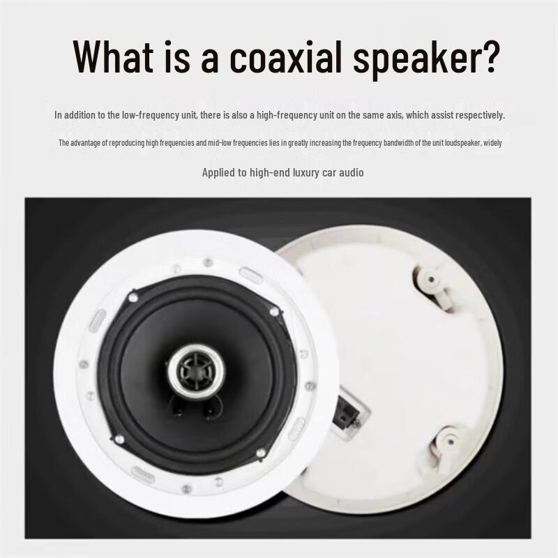 SAST KS-100 5.1 Ceiling Speaker Home Theater System