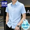 Men's Business Ice Silk Wrinkle-Resistant Short Sleeve Shirt