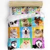 Bulldog Bedding Set For Bedroom Bed Home Group Of Young French Bulldogs With Adorable Exp Duvet Cover Quilt Cover And Pillowcase