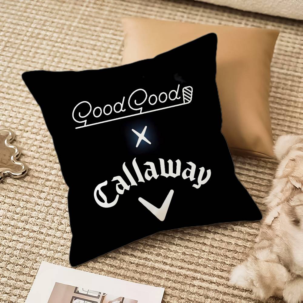 

Мода C-Callaway Наволочка Защита от пылевых клещей Невидимая молния Диван-кровать 12x12Inch