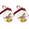 Nature's Birds Ball Ornament 3D Animal Clear Plastic Ball Decoration Christmas Tree Memorial Gift for Bird Lovers