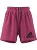 Adidas Future Icon Winners Shorts EVM12 Pink Fusion Melange Women's (IM2414) J/M