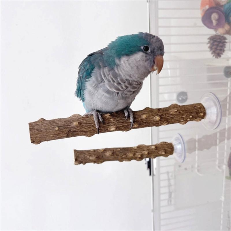 3pack Parrots Wall Bath Standing Rack Suction Cup Station Poles Interaction Toy for Interactively Playing