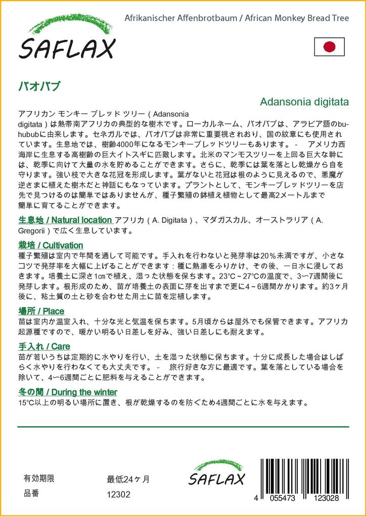 SAFLAX Árbol del pan del mono africano - 6 semillas - Adansonia digitata