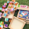 Cube Puzzle, 3D Wooden Puzzle, Building Blocks, Montessori Toy, Educational Toy for Kids, Wooden Shape-Matching Toy, 6 Types of Animals, Insects, and