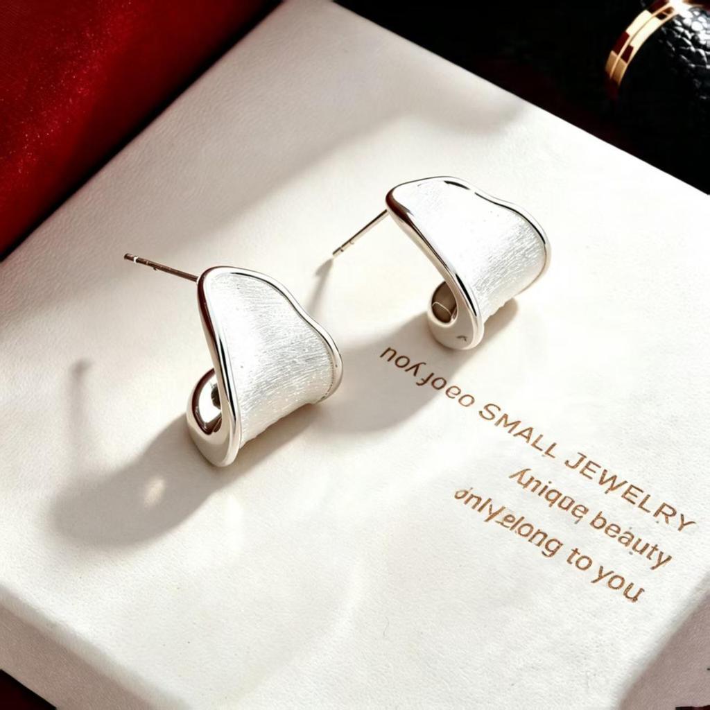 European & American High-End Brushed Metal 2026 Irregular Designer Earrings Studs