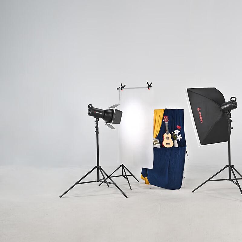 JINBEI SPARK-400D 400W Dual Flash Photography Studio Kit