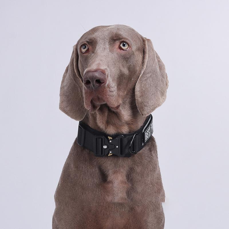Fashionable Camouflage Dog Tactical Collar Soft Thickened Adjustable Outdoor Walking Training Pet Collars Dog Safety Accessories