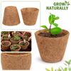 Vasos Biodegradáveis Naturais de Fibra de Coco Sacos para Cultivo de Mudas Substituição Ecológica para Recipientes de Viveiro de Plástico Tamanho Médio