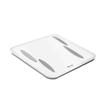 Beiya Smart Bluetooth Body Fat Scale (CN Version)