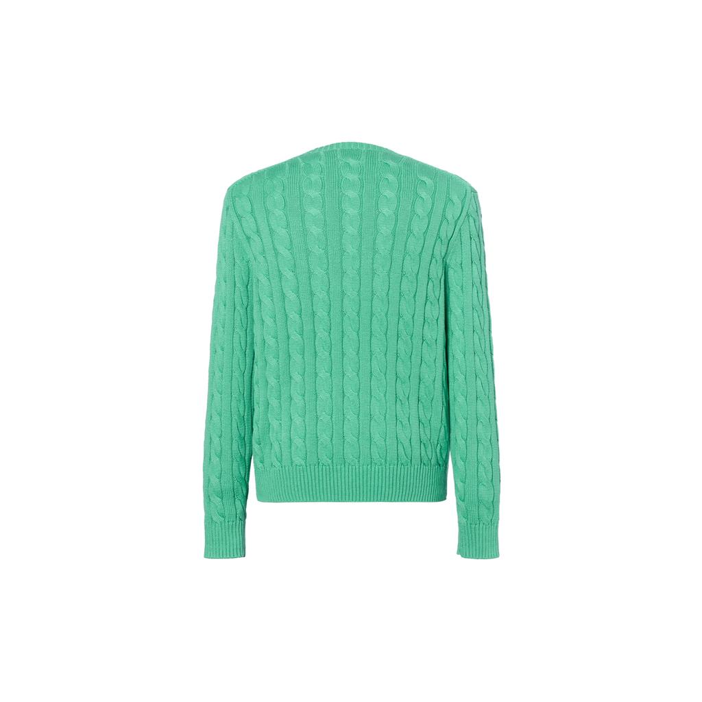 Polo Ralph Lauren Solid Color Crew Neck Ribbed Knit Sweater Men Sweater Green 710775885-505