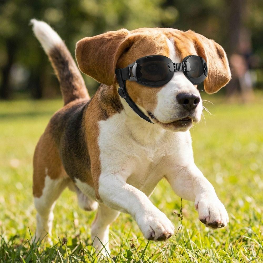 Augenschutz UV-Schutz Faltbare Hundeschutzbrille Winddicht Staubdicht Welpen Sonnenbrille Verstellbar Anti-UV Haustierbrille Strand