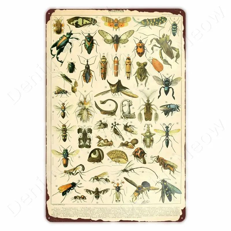 Starověcí Znamení Vintage Kovové Znamení Fosilní Nástěnné Umění Plakát Savci Ryby Znamení pro Domov Třída Dekor Hmyz Plechové Znamení