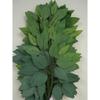 12 Sprays Ficus Leaves 23" Artificial Silk Stem Greenery 513 Green