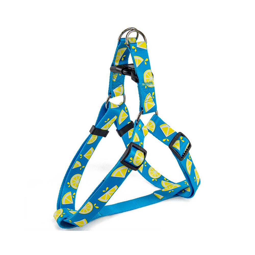 All For Paws Dog Harness For Small Large Dogs Blue Lemon Printed Nylon Adjustable Vest Outdoor Walking Running Dog