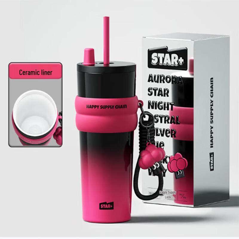Aurora Starry Night Insulated Straw Cup