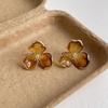 Caramel Amber Flower Tassel Earrings - Women's Luxury Long Dangle Earrings for Autumn/Winter