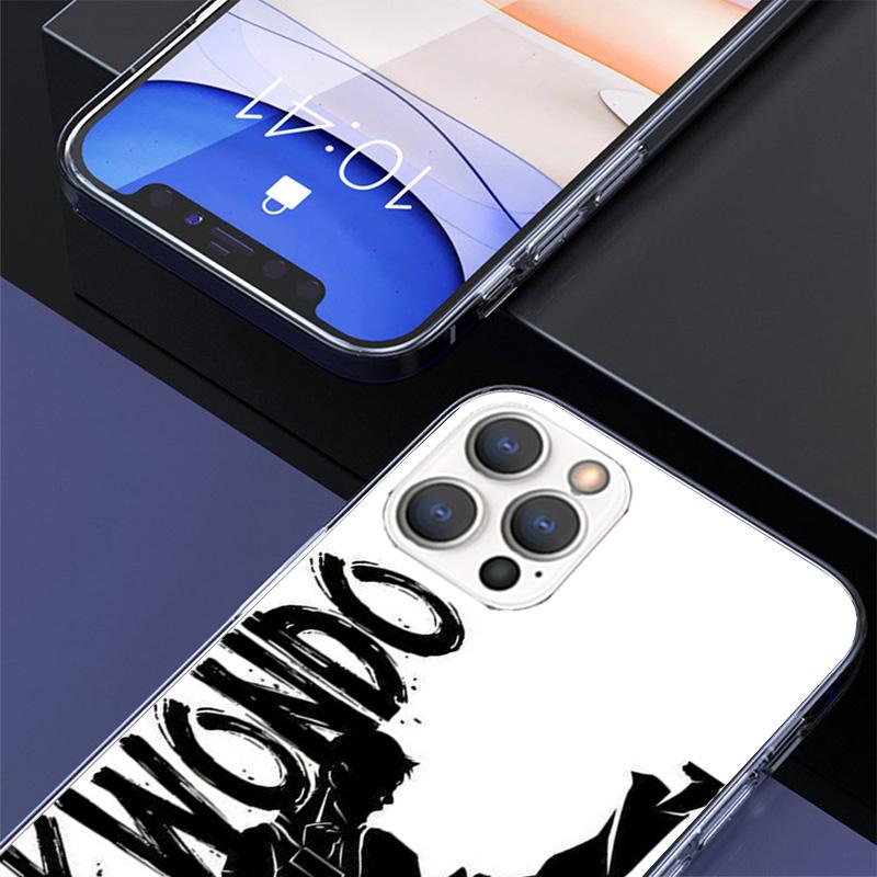 Kungfu Taekwondo Cover Phone Case For iPhone 16 17 Air 15 14 Pro Max 16E Phone Case 13 Mini 12 11 7 SE 8 Print Pattern Fit Cases