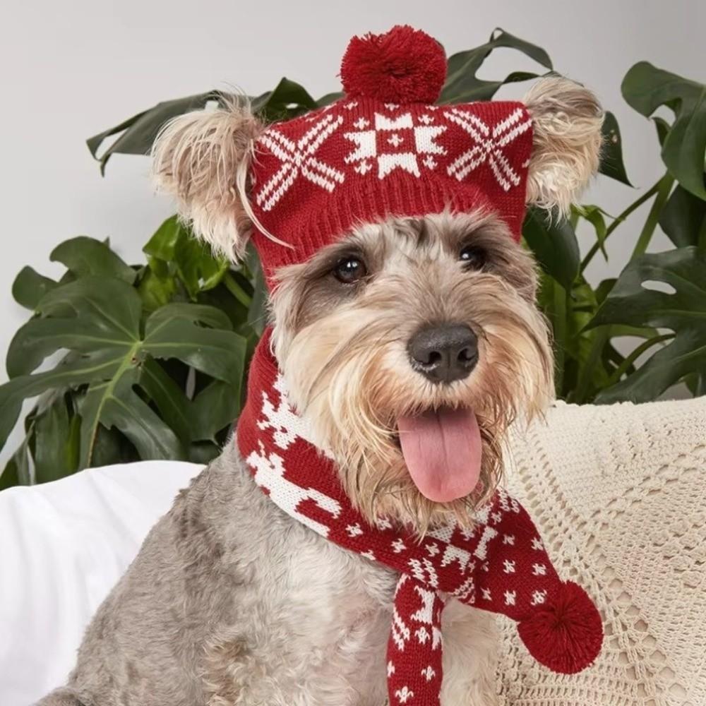 Cute Deer Fur Pompom Pet Scarf Hat Set Adjustable Elastic Christmas Pet Set Snowflake Pattern Warm Pet Headgear Autumn Winter